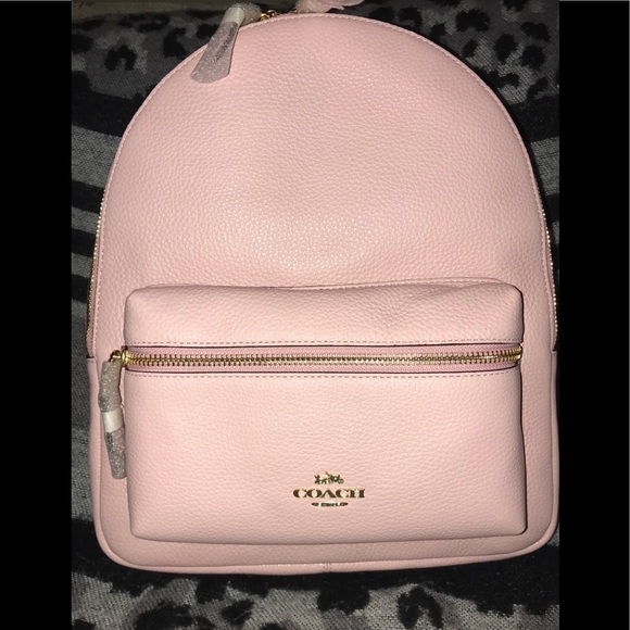 louis vuitton neverfull styles